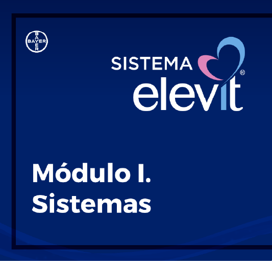 Diseño - Video animación - E-learning | Elevit
