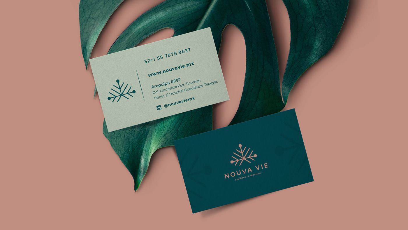 Nouva Vie | Creación de sitio web, Branding, Uso de marca, Imagen corporativa