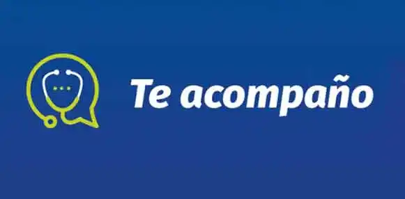 Creación de sitio web y chatbot, para Ipas México